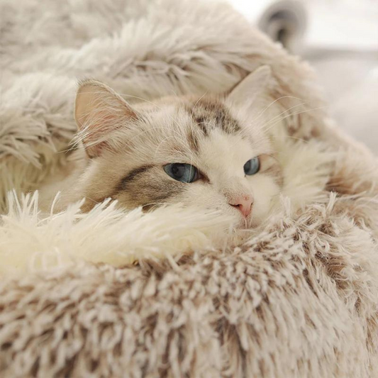 Elata Katzenbett Deluxe - himmlischer Komfort für deinen Stubentiger
