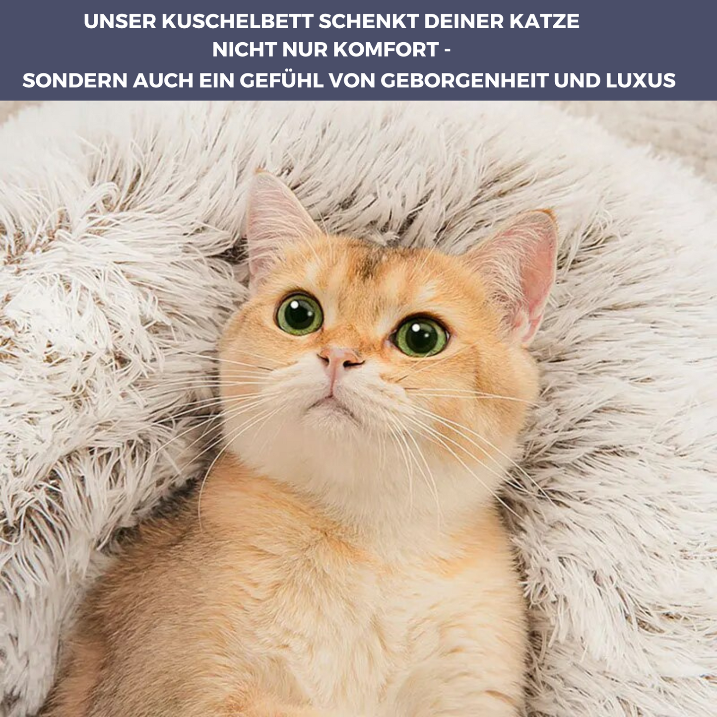 Elata Katzenbett Deluxe - himmlischer Komfort für deinen Stubentiger